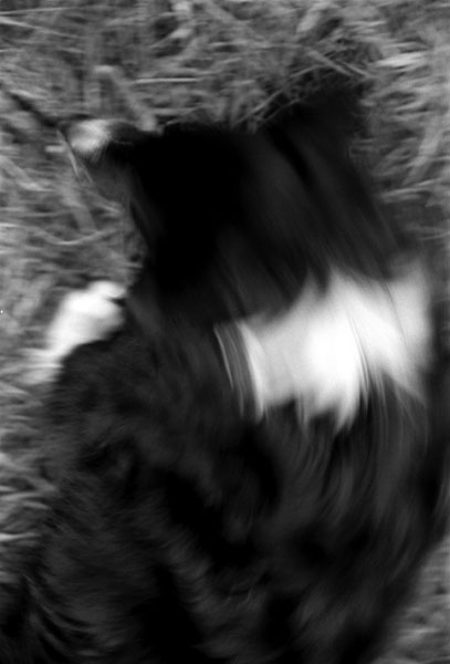 02-23